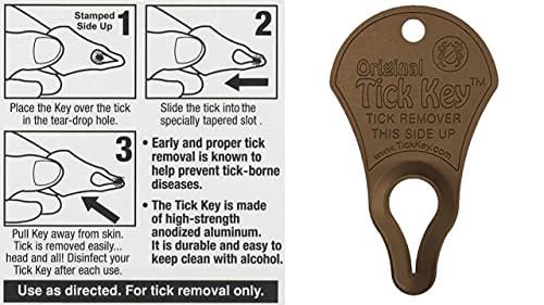 The Tick Key (Sandstone)