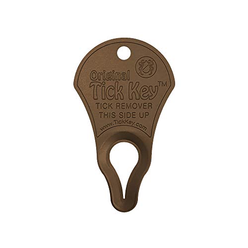 The Tick Key (Sandstone)