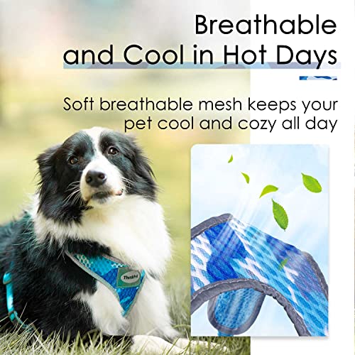 ThinkPet, Malla de Aire Suave, Transpirable, Reflectante, sin tirones, para Cachorros, sin ahogo, Chaleco para la Cabeza, arnés de ventilación para Cachorros, Perros pequeños y medianos