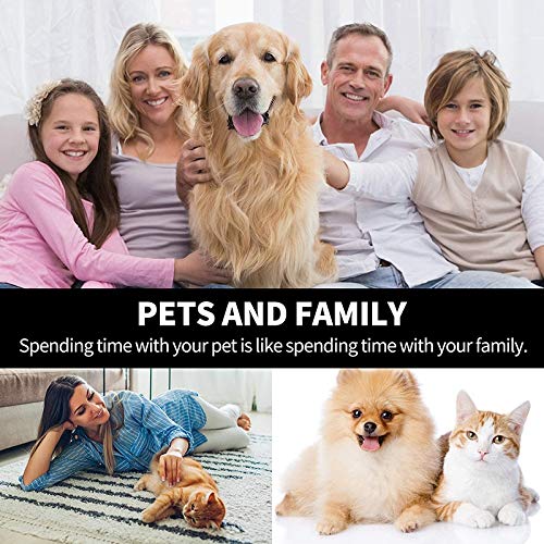 Timagebreze 24 Piezas Filtros de Espuma de Repuesto para Bebederos para Perros y Gatos, Prefiltros de Espuma para Bebederos para Mascotas, Compatibles con Drinkwell