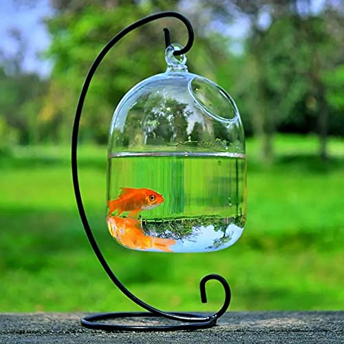 Timpfee Tanque de pescado colgante de escritorio, pequeño cuenco de pescado Betta de cristal, mini acuario con soporte, terrario de planta transparente para el hogar, mesa, oficina, jardín, decoración