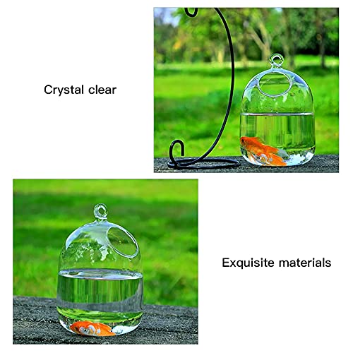 Timpfee Tanque de pescado colgante de escritorio, pequeño cuenco de pescado Betta de cristal, mini acuario con soporte, terrario de planta transparente para el hogar, mesa, oficina, jardín, decoración