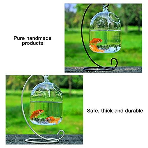 Timpfee Tanque de pescado colgante de escritorio, pequeño cuenco de pescado Betta de cristal, mini acuario con soporte, terrario de planta transparente para el hogar, mesa, oficina, jardín, decoración