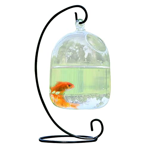 Timpfee Tanque de pescado colgante de escritorio, pequeño cuenco de pescado Betta de cristal, mini acuario con soporte, terrario de planta transparente para el hogar, mesa, oficina, jardín, decoración