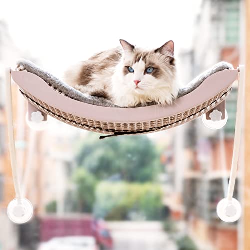 TINGCHAO Hamaca con Ventana para Gatos para Gatos de Interior con ventosas potentes Sostiene Gatos de hasta 33 Libras Brinda hamacas para Gatos para Tomar el Sol en 360 °,D