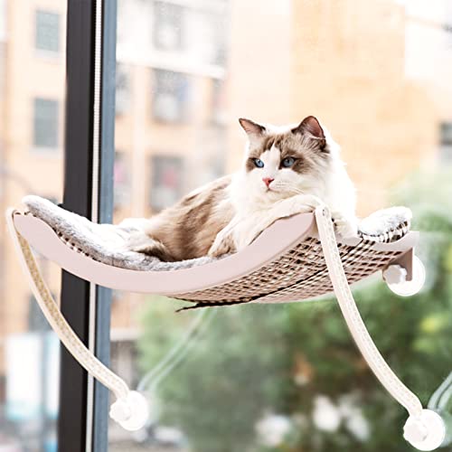 TINGCHAO Hamaca con Ventana para Gatos para Gatos de Interior con ventosas potentes Sostiene Gatos de hasta 33 Libras Brinda hamacas para Gatos para Tomar el Sol en 360 °,D