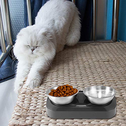TopHGC Cuencos para Gatos, Cuencos para Perros y Comida para Gatos de Acero Inoxidable Premium Dobles de 480 ml con Base antiderrame, ángulo Ajustable