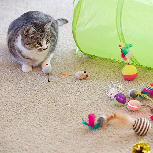 Toruiwa - Juguetes para gatos, 21 juguetes para gatos, juguete para gatos, juguete para gatos, juguete para gato, juguete para gatito, juguete para gatito, juego para gatito
