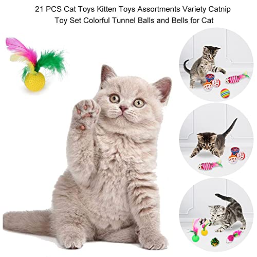 Toruiwa - Juguetes para gatos, 21 juguetes para gatos, juguete para gatos, juguete para gatos, juguete para gato, juguete para gatito, juguete para gatito, juego para gatito