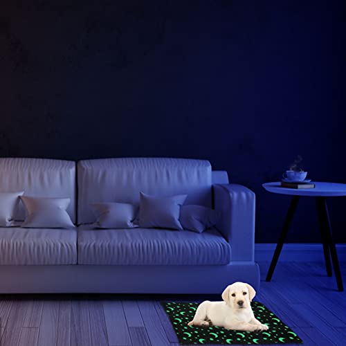 Toyvian Manta de Mascotas de Invierno 1 PC Luminoso Puppy Mat Cat DESCUENTE Cat DESCENDIENTE Mantenimiento Mujer Mater Mantenimiento Manta- Tamaño 2