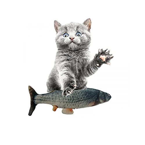 TQSDYY 30Cm Gato Juguete Pescado Carga USB Simulación Baile Salto Deportes Disquete Electrónico Pez Gato Juguete