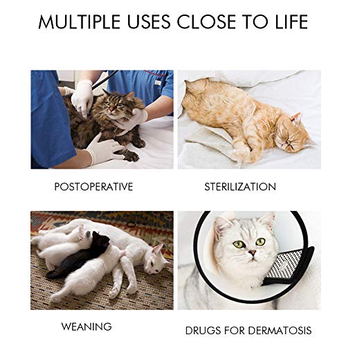 Traje De Recuperación De Gato para Heridas Abdominales O Enfermedades De La Piel, Alternativa De Collar Electrónico para Gatos Y Perros, Después De La Cirugía, Ropa para Mascotas,Rosado,M