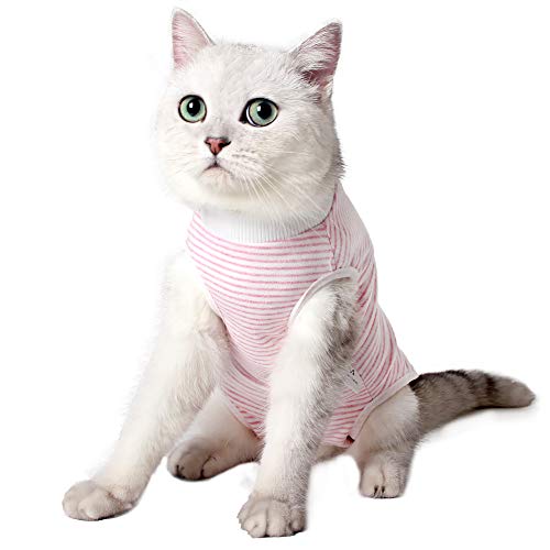 Traje de recuperación para gatos, transpirable, a rayas, quirúrgico, para enfermedades de la piel y heridas abdominales, cuello E, alternativa para gatos después de la cirugía, ropa interior