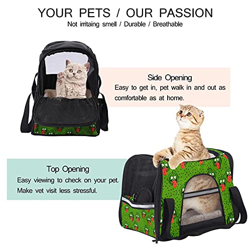 Transportador de mascotas Crazy Sandy suave cara transportadores de viaje para gatos, perros, cachorro, cómodo, portátil, plegable, bolsa para mascotas, aprobada por aerolíneas