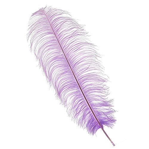 Trimming Shop Plumas de avestruz de color lila claro (paquete de 10), espadones Showgirl - para decorar disfraces, tocados, bodas y fiestas - Jugando con mascotas y penachos de caballo 50 cm - 60 cm