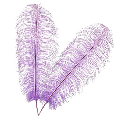 Trimming Shop Plumas de avestruz de color lila claro (paquete de 10), espadones Showgirl - para decorar disfraces, tocados, bodas y fiestas - Jugando con mascotas y penachos de caballo 50 cm - 60 cm