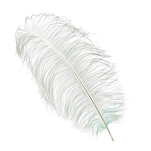 Trimming Shop Plumas de avestruz reales plateadas (paquete de 5), espadas Showgirl – para decorar disfraces, tocados, bodas y fiestas – Jugar con mascotas y plumas de caballo, 50 cm – 60 cm