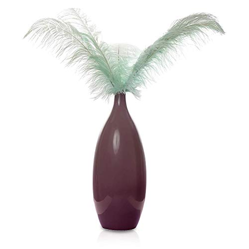 Trimming Shop Plumas de avestruz reales plateadas (paquete de 5), espadas Showgirl – para decorar disfraces, tocados, bodas y fiestas – Jugar con mascotas y plumas de caballo, 50 cm – 60 cm