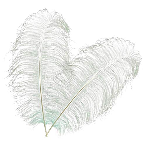 Trimming Shop Plumas de avestruz reales plateadas (paquete de 5), espadas Showgirl – para decorar disfraces, tocados, bodas y fiestas – Jugar con mascotas y plumas de caballo, 50 cm – 60 cm