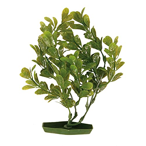 Trixie 8967 6 Plástico Plantas