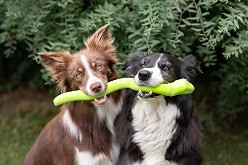 TRIXIE Serpiente Snacks para Perros