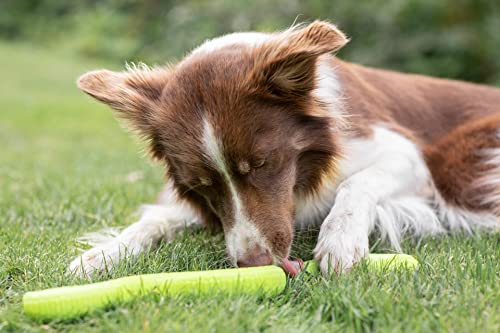 TRIXIE Serpiente Snacks para Perros