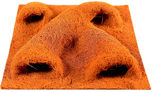 TropicShop Parte trasera de fibra de coco natural y fibra de coco, parte posterior de terrario con bolsa para plantas (50 x 50 cm).
