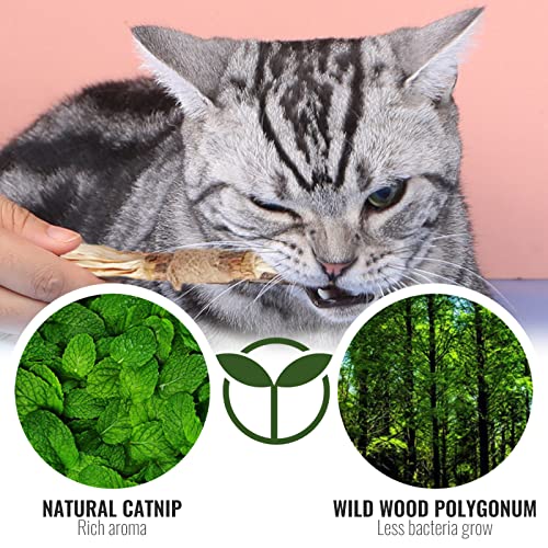 TUAKIMCE Palitos de menta para gatos, 3 unidades, juguete para masticar para gatos, para el cuidado dental de los dientes, para gatos contra el mal aliento, naturalmente seguro