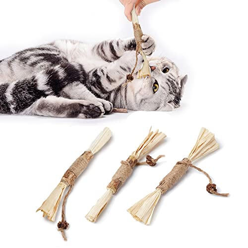 TUAKIMCE Palitos de menta para gatos, 3 unidades, juguete para masticar para gatos, para el cuidado dental de los dientes, para gatos contra el mal aliento, naturalmente seguro