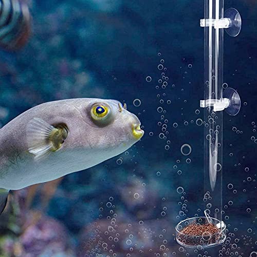 Tubo de Alimentación de Camarones Bandeja de Tubo de Acrílico Transparente del Alimentador Plato de Alimentación del Crystal Shrimp para Camarones Peces Cangrejos para Acuario 25cm