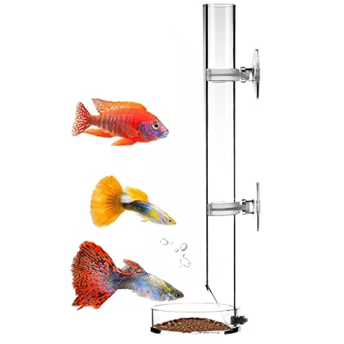 Tubo de Alimentación de Camarones Bandeja de Tubo de Acrílico Transparente del Alimentador Plato de Alimentación del Crystal Shrimp para Camarones Peces Cangrejos para Acuario 25cm
