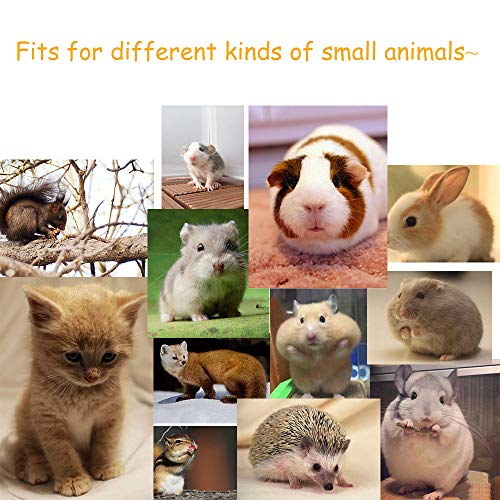 Túnel de juego de animales pequeños, tubo de plástico resistente y duradero, divertido túnel para mascotas para conejillos de indias, chinchillas, ratas y conejos enanos