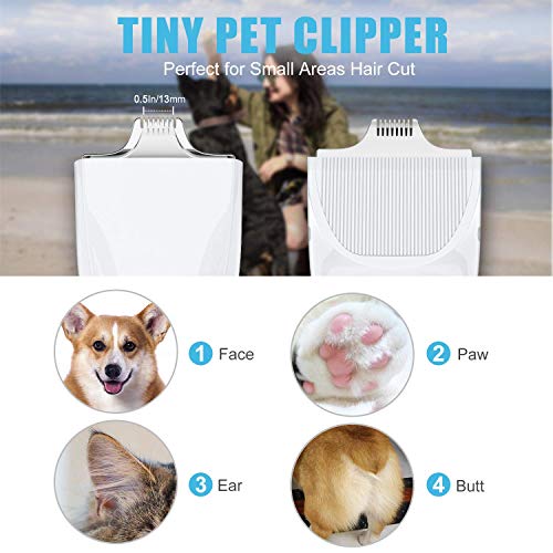 TURN RAISE - Cortapelos para Perros y Gatos, Lavables, de bajo Ruido, Recargable, eléctrico, silencioso, con Hoja de cerámica Desmontable para Perros y Gatos, Ojos, Cara, Orejas y Pata