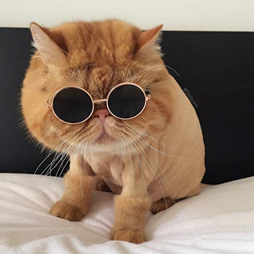 U-K Gafas de sol para mascotas pequeñas, diseño de gatos, protección de ojos, accesorios para mascotas, y creativa
