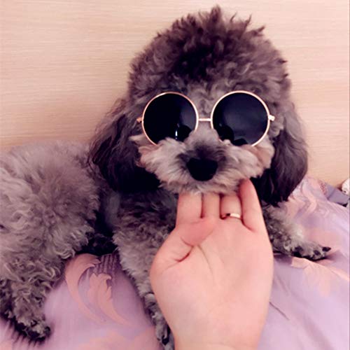 U-K Gafas de sol para mascotas pequeñas, diseño de gatos, protección de ojos, accesorios para mascotas, y creativa