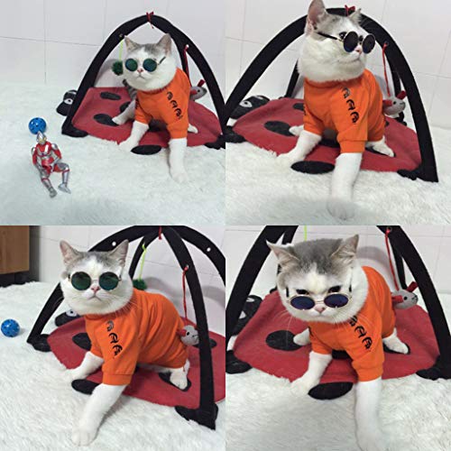 U-K Gafas de sol para mascotas pequeñas, diseño de gatos, protección de ojos, accesorios para mascotas, y creativa