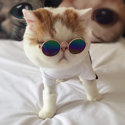 U-K Gafas de sol para mascotas pequeñas, diseño de gatos, protección de ojos, accesorios para mascotas, y creativa