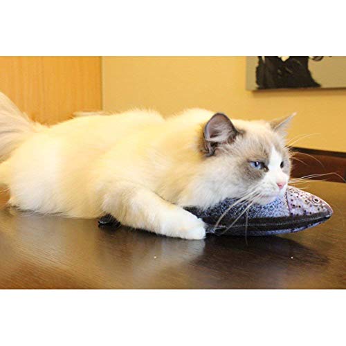 U-M Juguete para gatos Juguete para mascotas Almohada de gato de pez pargo rojo Juguetes de gato de peluche suave interactivo para gatos de interior Gatito de 20 cm para mascotas de calidad confiable