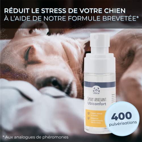 Ubiconfort - Aerosol relajante antiestrés para perros | Pheromonas Perro, Lavanda y Camomilla | Para casa, Transporte, Viaje, Veterinario | + 400 pulverizaciones | 60 ml