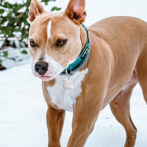 Uiopa 2Pzs Chapa Perro Grabada, Huella Placa Perro Grabada Placas Identificativas Chapas Personalizadas Placas para Perros, Etiquetas de Identificación de Mascotas para Perros Gatos Collar (Rosa)