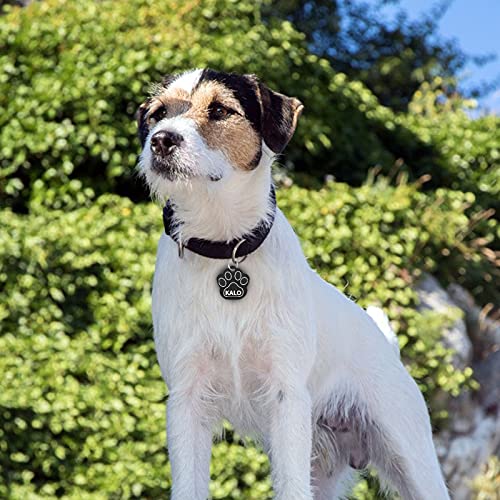 Uiopa 2pzs Huella Chapa Perro Grabada, Pata Chapas para Perros Personalizadas Placas Identificativas, Etiquetas de Identificación de Mascotas para Collar Perro Gato Mascota (Plateado)