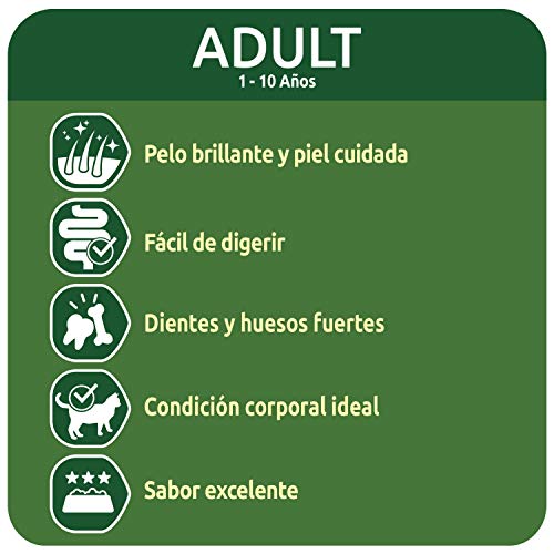 ultima Pienso para Gatos Adultos con Salmón - 1.5 kg