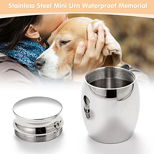 Urna funeraria para mascotas, cenizas para mascotas domésticas Urnas funerarias de acero inoxidable Cenicero a prueba de agua para perros y gatos