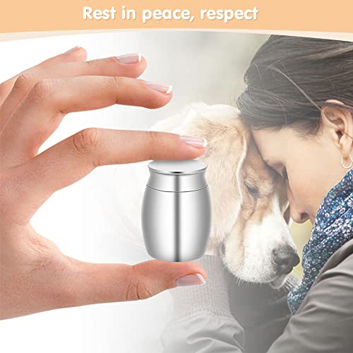 Urna funeraria para mascotas, cenizas para mascotas domésticas Urnas funerarias de acero inoxidable Cenicero a prueba de agua para perros y gatos
