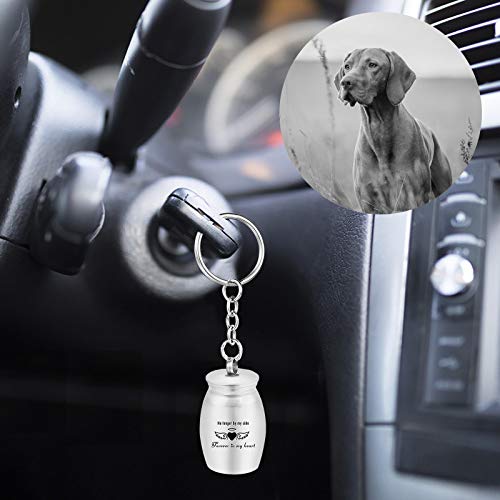 Urnas para mascotas para perros, gatos, cenizas, pequeñas urnas de recuerdo, pequeñas urnas de cremación, llavero, llavero elástico, cadenas, llavero fuerte, llavero elástico para memoriales de perros