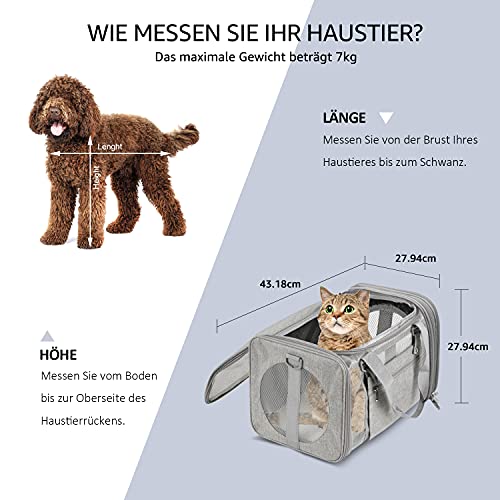 Vailge Transportbox Gato Transportbox Perro Faltbare Katzentransportbox, Transporttasche para Animales domésticos en el avión Transportbox para Mascotas Gato Medio pequeños Perros 15lbs