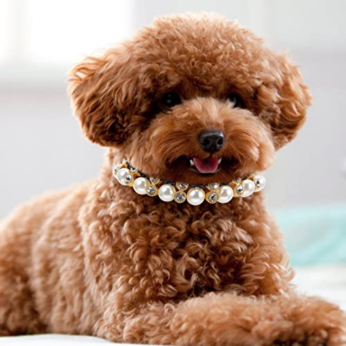 VALICLUD Pearls Perro Collar Collar Joyería para Perros Pequeños Puppy- Bling Rhinestones Cuello de Boda para Mascotas- Linda Taza de Té Chihuahua Yorkie Girl Ropa Trajes de Vestir