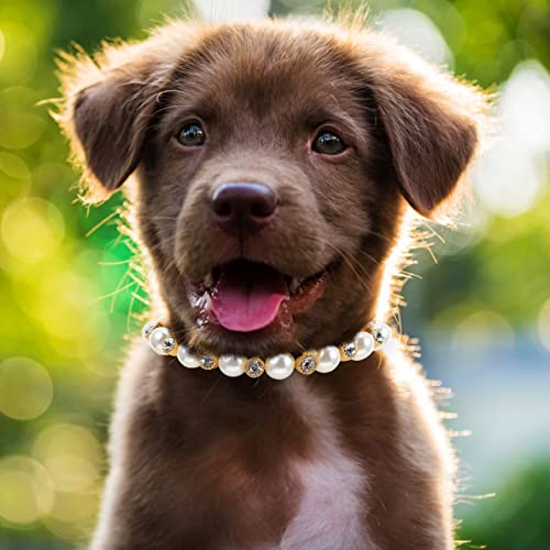 VALICLUD Pearls Perro Collar Collar Joyería para Perros Pequeños Puppy- Bling Rhinestones Cuello de Boda para Mascotas- Linda Taza de Té Chihuahua Yorkie Girl Ropa Trajes de Vestir