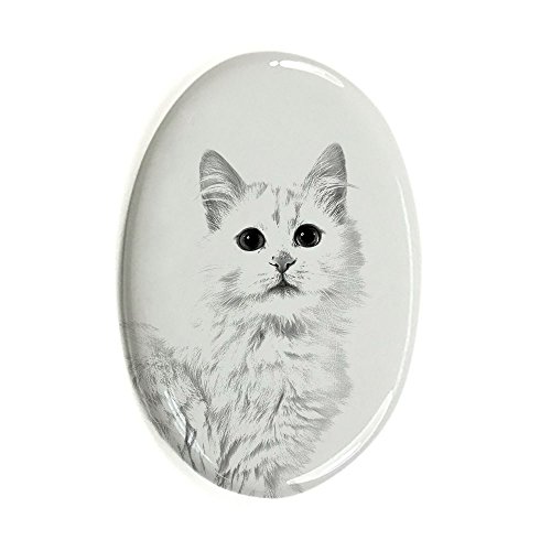 Van turco gato, ovalado tumba de azulejos de cerámica con una imagen de un gato