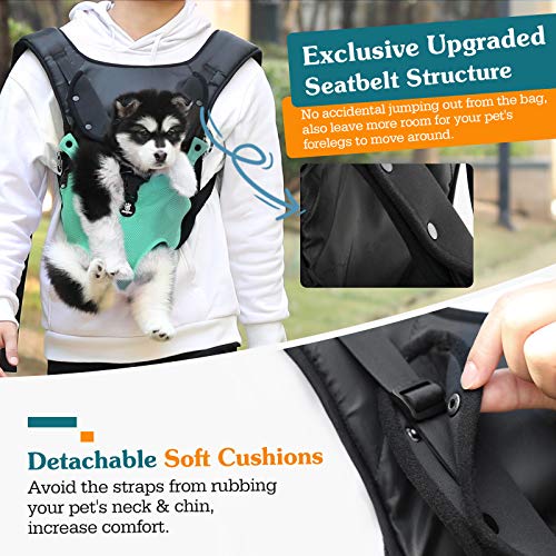 VavoPaw Mochila para Transportar Perros Gatos, Bolsa Ajustable Portátil con Hebilla Segura Malla Transpirable para Paseo Viaje Senderismo para Mascotas Pequeños Medianos, Talla M, Azul